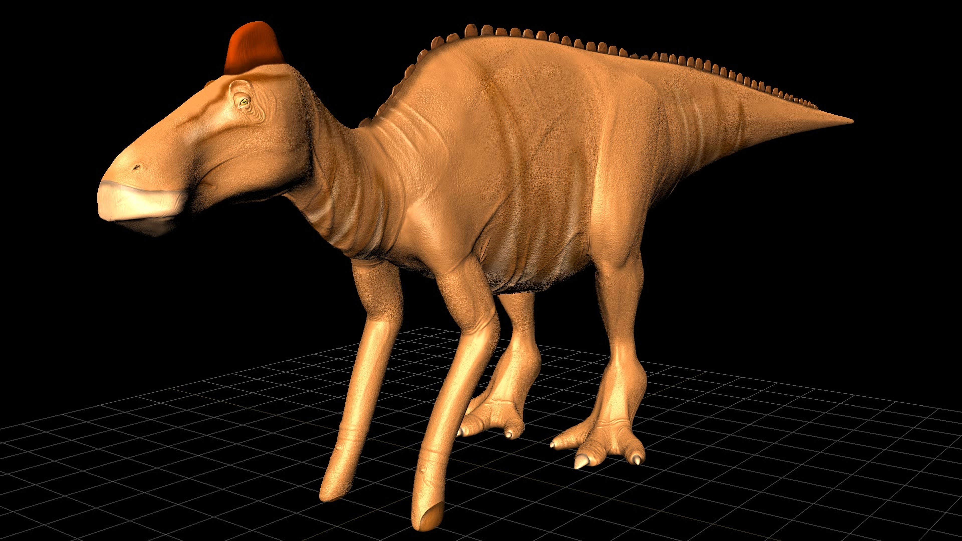 3D dinosaur reconstruction